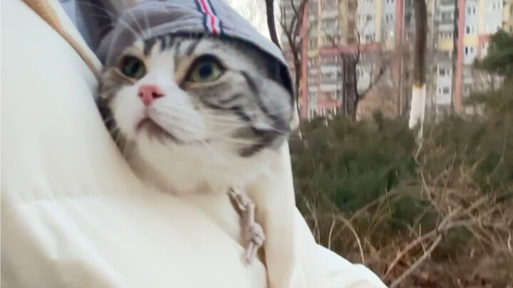 هل تعتقد أن هذا مناسب؟