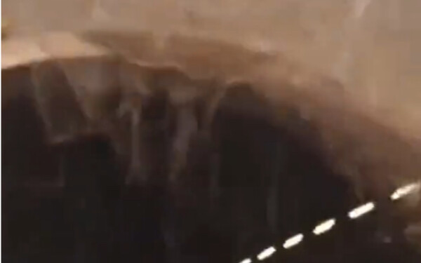 What should I do? What should I do?