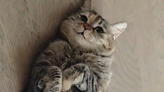 ต้าตู่อวดพุงอย่างภาคภูมิใจ