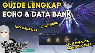 GUIDE LENGKAP ECHO DAN LEVELING DATA BANK BUAT SOLO PLAYER WUTHERING WAVES