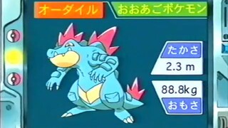 オーキド博士のポケモン講座(オーダイル)