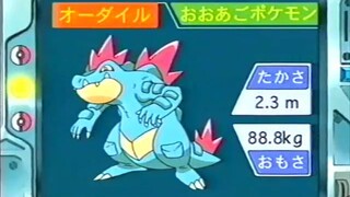 オーキド博士のポケモン講座(オーダイル)