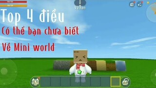 Top 4 điều có thể bạn chưa biết về Mini World