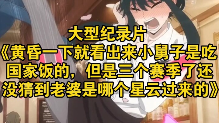 สารคดีขนาดใหญ่เรื่อง “แค่มองยามสนธยา ก็รู้ทันทีว่าพี่เขยกินเงินเดือนจากรัฐ แต่ผ่านมาสามซีซั่นแล้วก็ย