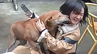 "Anak anjing hanya tahu cara mencintai secara terbuka. Anak anjing tidak peduli dengan kata-kata men
