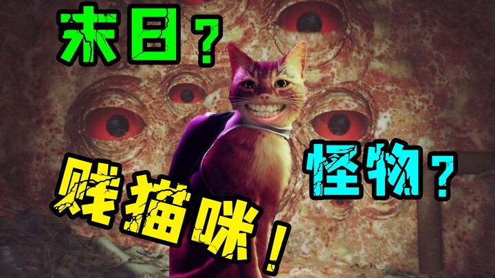 【تعليق دو دو الهادر】 «المغامرة العجيبة لأطرف قطة لعوب»