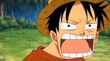 "luffy" being idiot