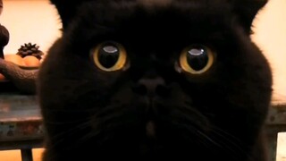 Apa yang paling penting dalam berjalan ala catwalk? Sekarang kamu sudah tahu, kan?