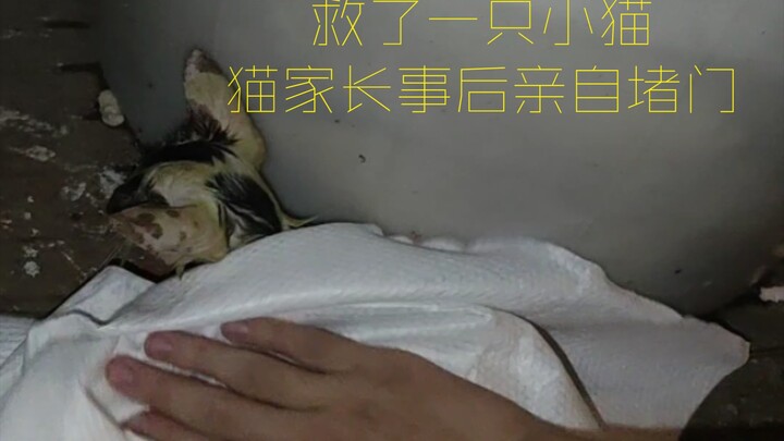 Fished a cat out of a trash bin on the way home