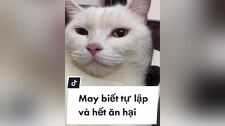 Con Sen ai chẳng có giấc mơ như này... malyfamily maly xuhuong PhimHayMoiNgay