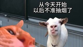 当声乐生开始抽华子
