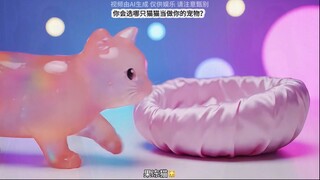 AI抽象选择题｜你会选择养哪只猫猫？（合集）