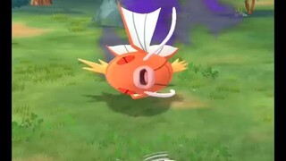Pokémon GO-Shadow Magikarp