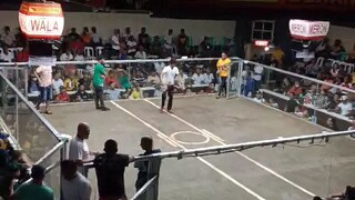 2nd fight WiN 3stag Elems 10m Guranted 7stag Dervy