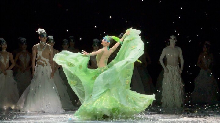 Beijing | Yang Liping's Dance Drama "Peacock" at the National Centre for the Performing Arts Takes I