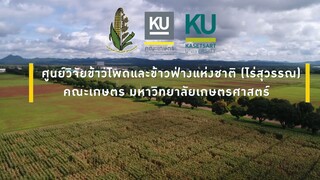 Suwan Farm - Faculty Of Agriculture , KU