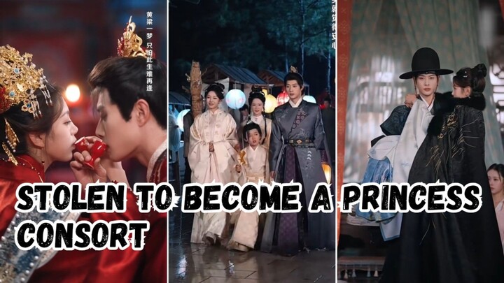 Stolen To Become A Princess Consort