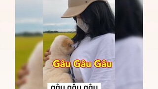 Ở đây có bán tiếng cười 🤣 - Phần 83 KTLN 24h