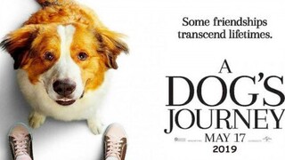 A DOG'S JOURNEY (2019) หมา เป้าหมาย และเด็กชายของผม 2