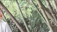 Kỷ Thư Nhiên tàn nhẫn như vậy, vì chiếm được sủng ái, nàng đã giết chết con gái lớn của Giang gia, l