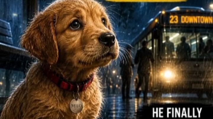 👉 He Finally Found His Way Home 🐶❤️