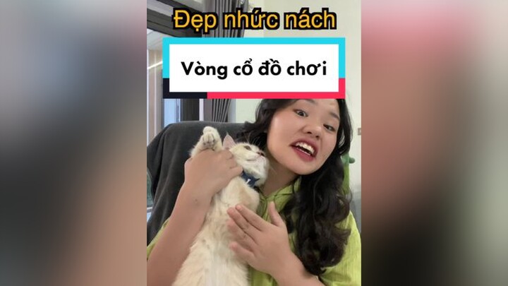 Mặc dù tui phờ nóp nhưng con mèo nhà tui vẫn k an ủi tui tí nào huhu mèo cat thaomeo dcgr cancaumeo