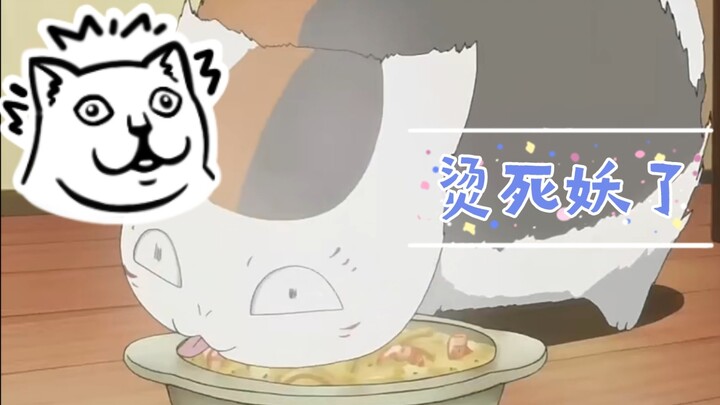 [Cat Teacher] Some cats appear to be big monsters, but are actually little cuties burrowing into the