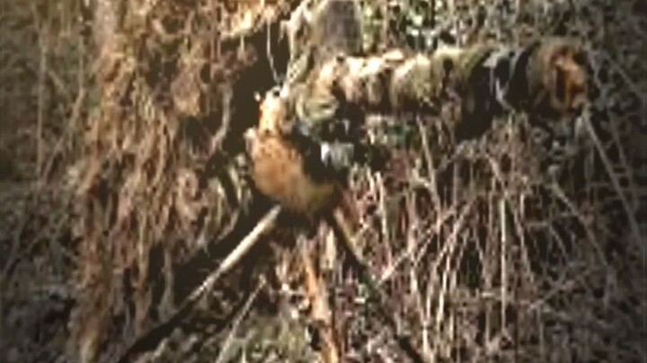 ghillie suit