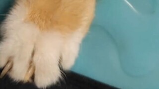 โอ้โห ฉันว่าทำไมก้นถึงคันๆ เนี่ย