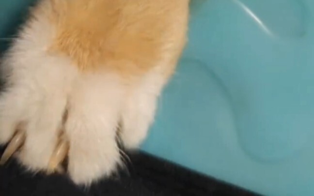 โอ้โห ฉันว่าทำไมก้นถึงคันๆ เนี่ย