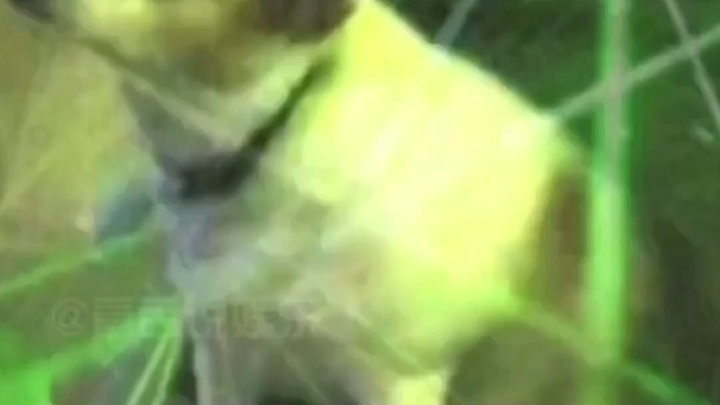 แม้ว่าความฝันที่จะเข้ามหาวิทยาลัยชิงหัวจะยังไม่เป็นจริง แต่มหาวิทยาลัยปักกิ่งกลับกลายเป็นเรื่องขำขัน