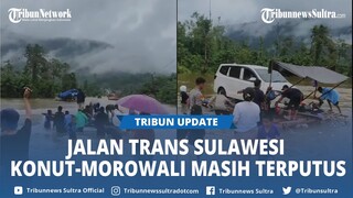🔴Banjir Putus Akses Jalan Trans Sulawesi di Oheo Konut Sulawesi Tenggara, Hubungkan Morowali-Konut