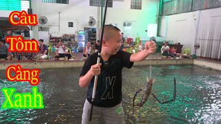 Đến Sài Gòn Câu Tôm Càng Xanh Và Ăn Sống Tại Bờ - Cực Phê