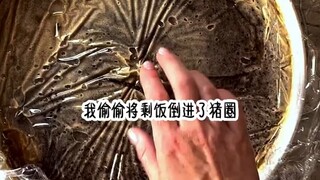 惊心猪圈
