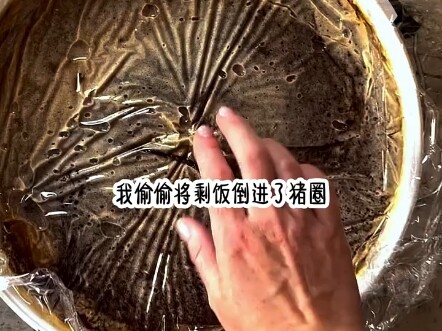 惊心猪圈