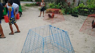 Para masanay sa ibang lugar