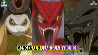 MENGENAL 9 ULAR GUA RYUCHIDO - [ NARUTO/BORUTO]