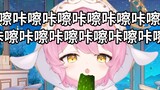 【Kami】Turtle chewing cucumber 10 minutes pure enjoyment version