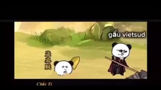 phim gấu dịch tiếng việt