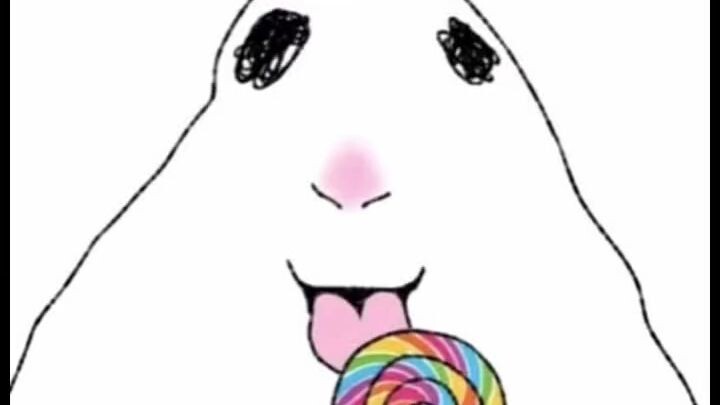 hamster