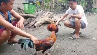 BC to BC