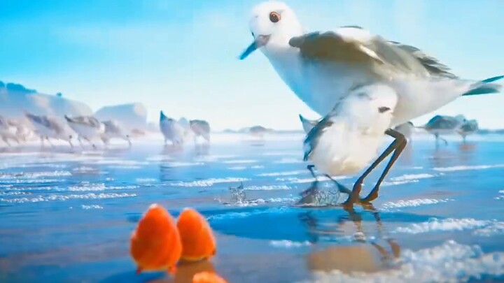 Today I bring you an Oscar-winning animated film, "The Snipe"!