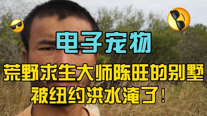 Virtual Pet Chen Wang (Part 2): Master Chen Wang’s Villa in the Wilderness Is Flooded by New York’s 