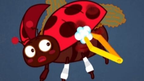 Rescuing the Lady Bug