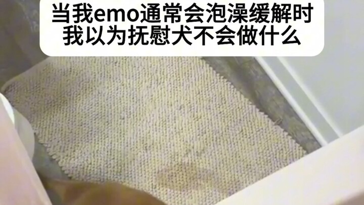 Anjing Penghibur: Aku Akan Jadi Sumber Kebahagiaanmu