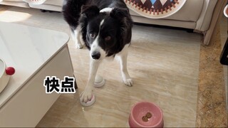 今天是粉丝考试