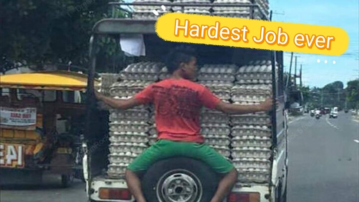 hardest job ever 😎