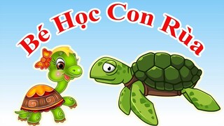 Dạy bé con rùa | Dạy bé học nói tên động vật | Baby learns about turtle | PingTV