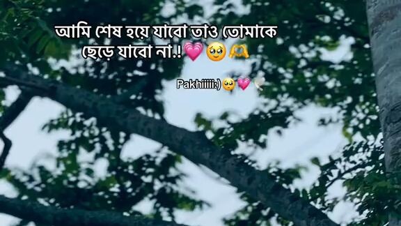 love text,,