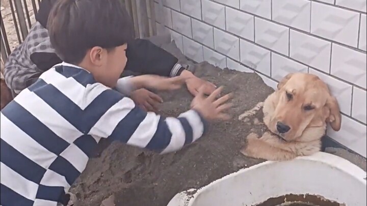 Anjing: Kapan sekolah dimulai?